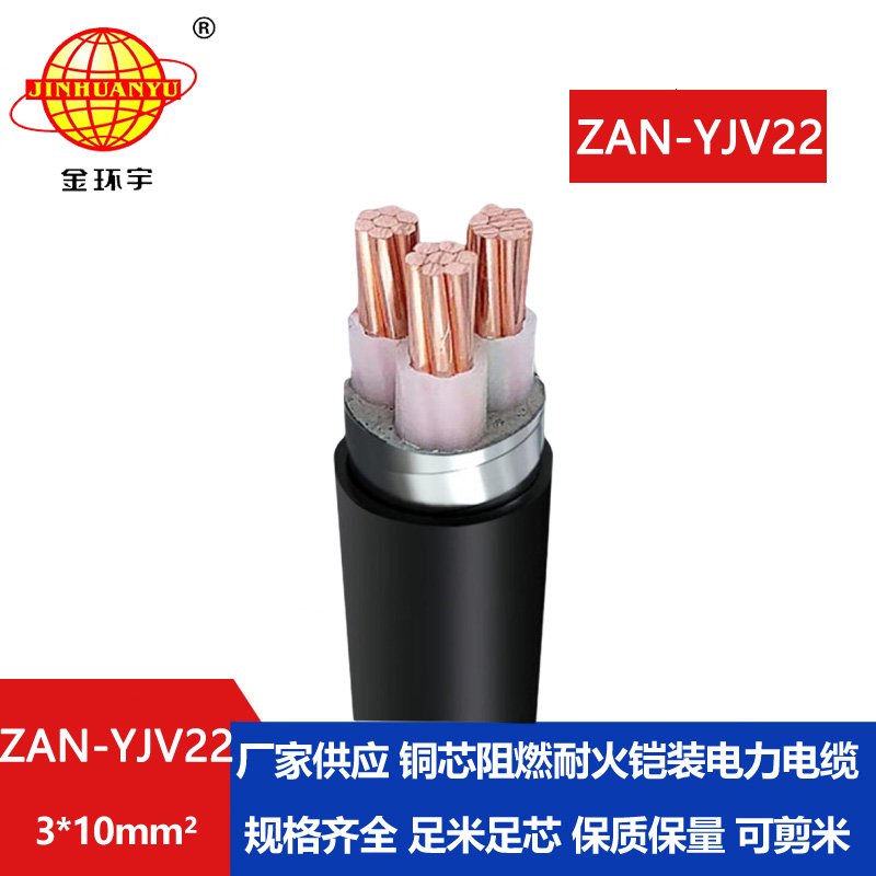 金環(huán)宇 深圳阻燃耐火電纜廠(chǎng)ZAN-YJV22-3*10 鎧裝電纜