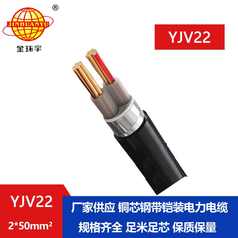 金環(huán)宇電線(xiàn)電纜 YJV22 2X50平方 鎧裝電纜 低壓交聯(lián)