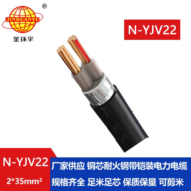 金環(huán)宇電線電纜 N-YJV22-2X35平方 鎧裝耐火電線電纜 深圳yjv22電纜