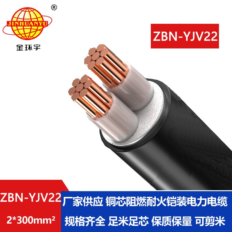 金環(huán)宇電線電纜 ZBN-YJV22-2X300平方 b級阻燃耐火鎧裝電力電纜
