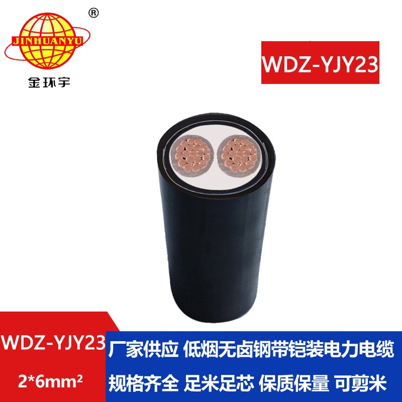 金環(huán)宇 WDZ-YJY23-2X6平方低煙無鹵電纜報價 鎧裝電纜廠