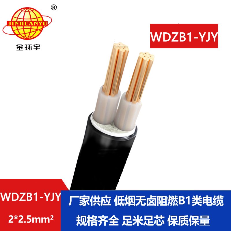 金環(huán)宇電線電纜 2芯電力電纜WDZB1-YJY2x2.5 低煙無鹵阻燃B1類電纜